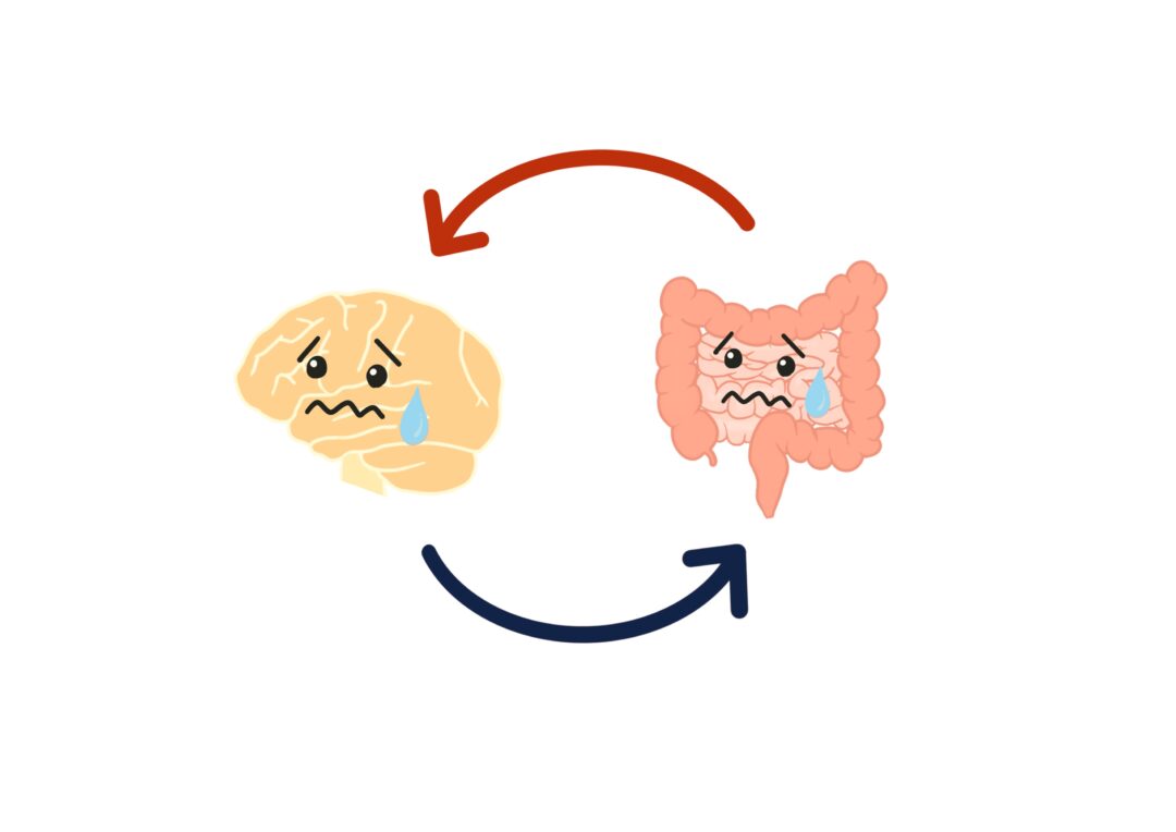 自律神経の乱れは内臓の不調に繋がります